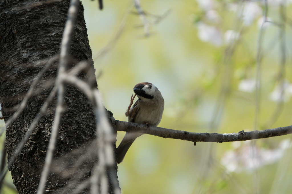 취미 생활로 찍은 사진들 | 인스티즈