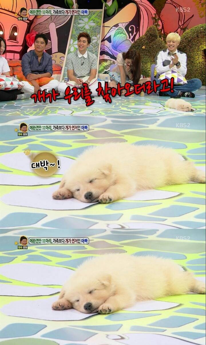 방송중에 졸리다고 자는 | 인스티즈