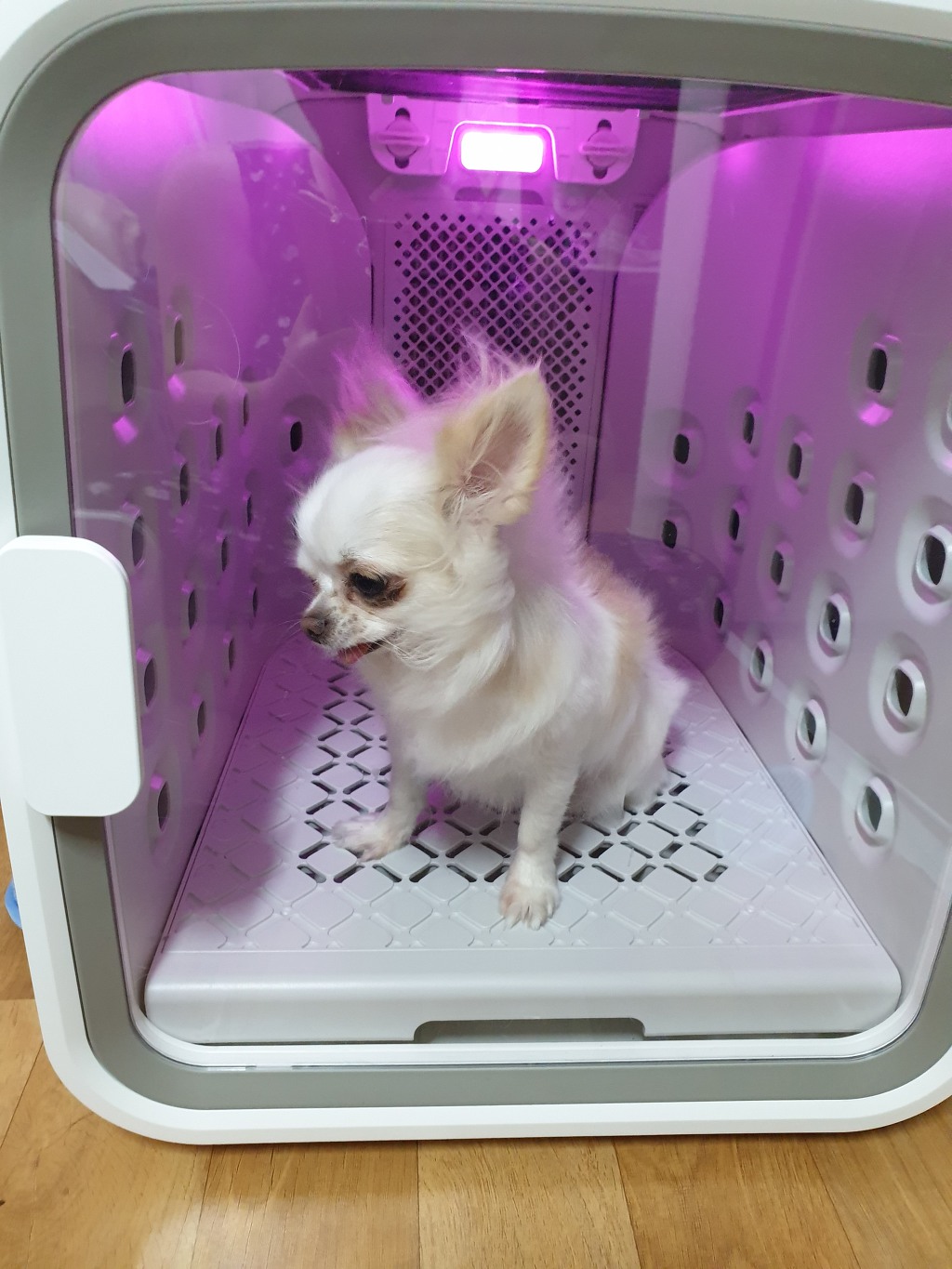 드라이세상 이미지