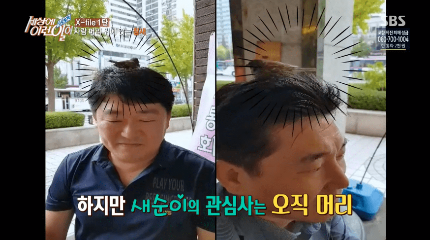 세상에 저런 이런일이 | 인스티즈