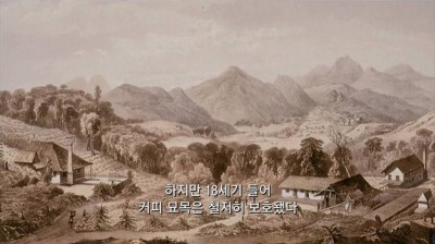 우리가 커피를 값싸게 먹을수 있는 이유 | 인스티즈