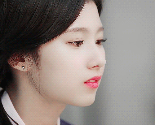 웃는게 좀 귀여운 오사카 시바견 | 인스티즈