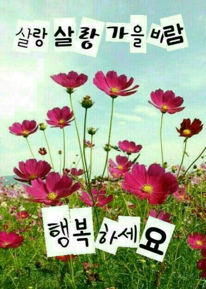 멋진하루 이미지