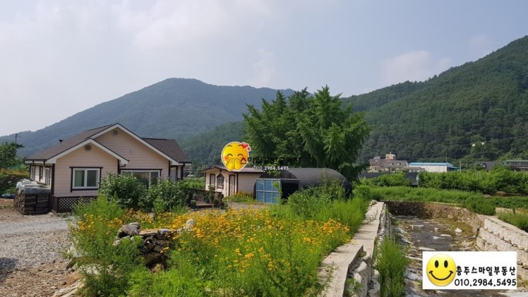 파란나무 이미지