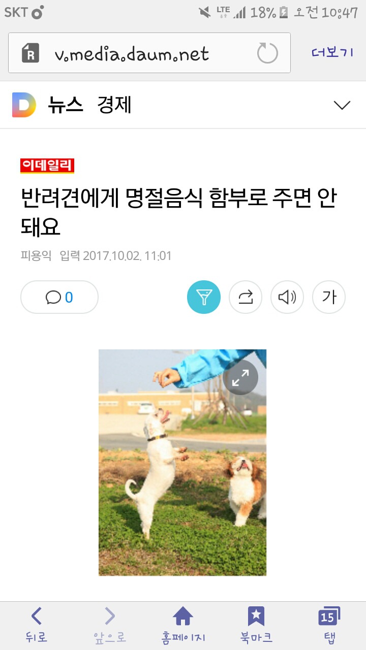 반려견에게 명절음식 함부로 주면 안 돼요 | 인스티즈