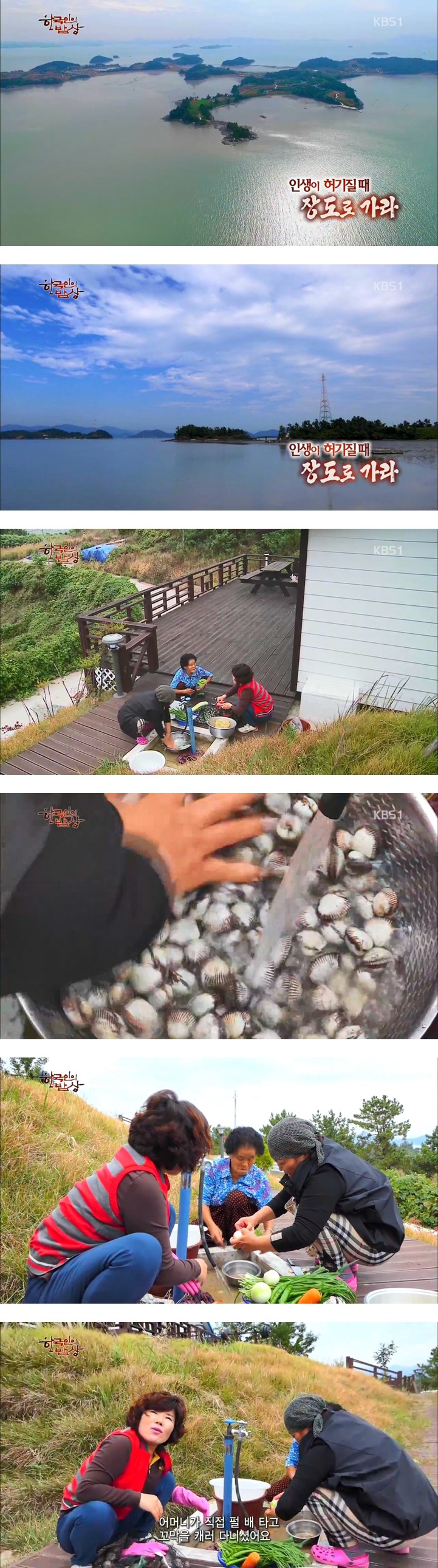 한국인의 밥상 - 장도의 꼬막 요리들 - | 인스티즈