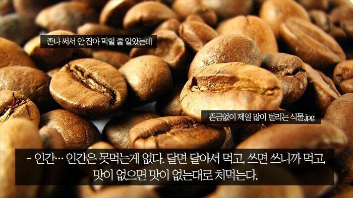 인간이 만물의 영장인 이유.jpg | 인스티즈