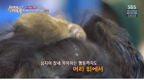 새상에 이런일이 3대 레전드.jpg | 인스티즈