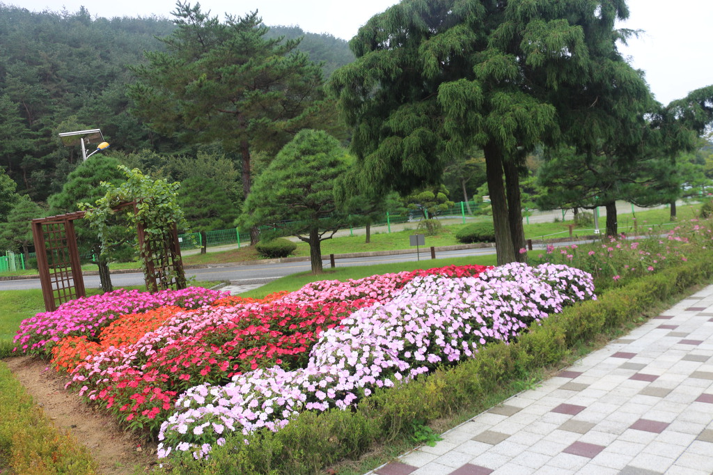 미동산수목원 이미지